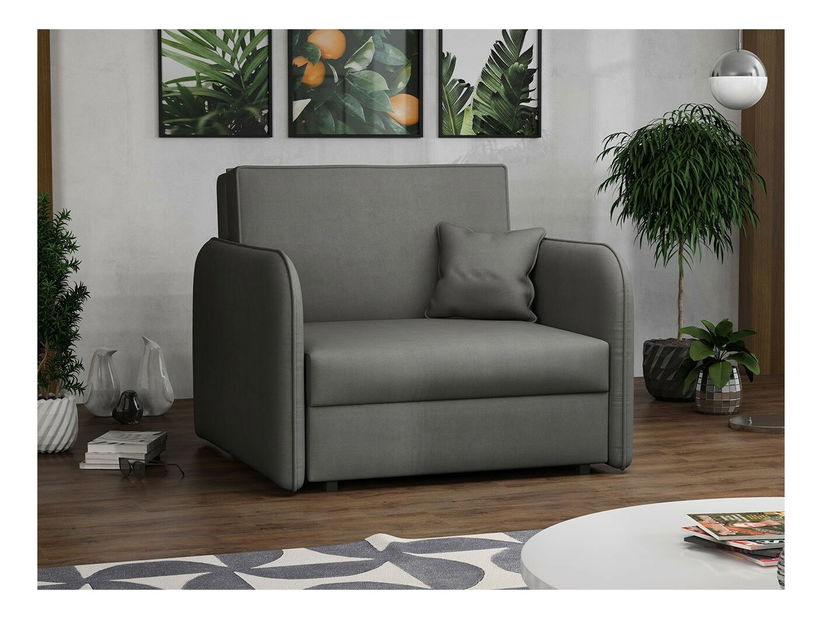 Rozkladacie kreslo Carivia Loft I (Mono 246) (s úl. priestorom)