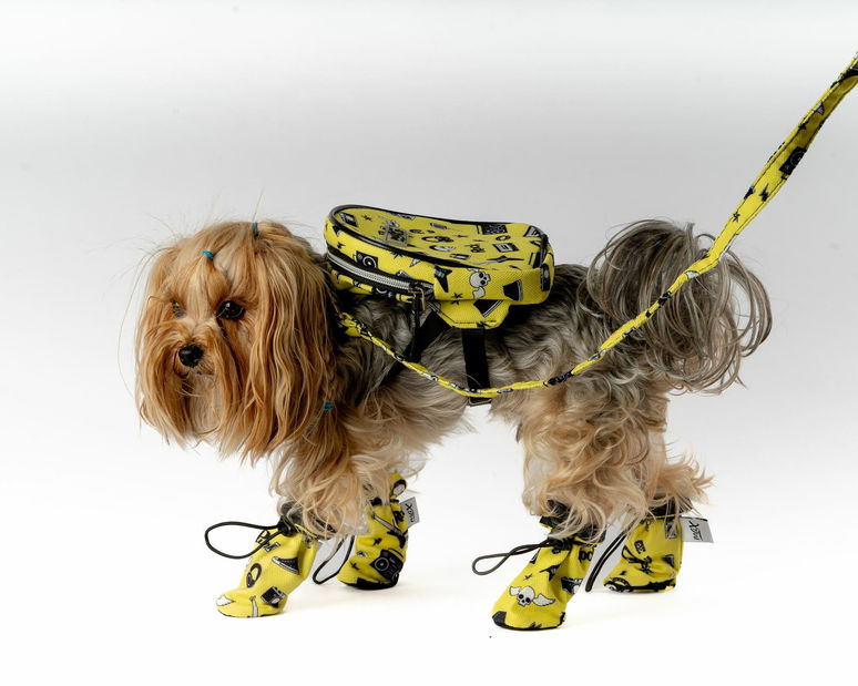 Topánky pre psa Shoa (žltá) (S/M)