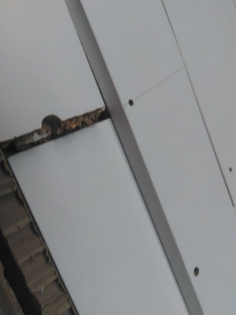 Jedálenský stôl (pre 4 osoby) Jared 102 (Orech + Biela) *bazár