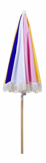 Slnečník Monde (viacfarebná)