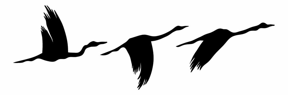 Zidna dekoracija Cinci (crna)