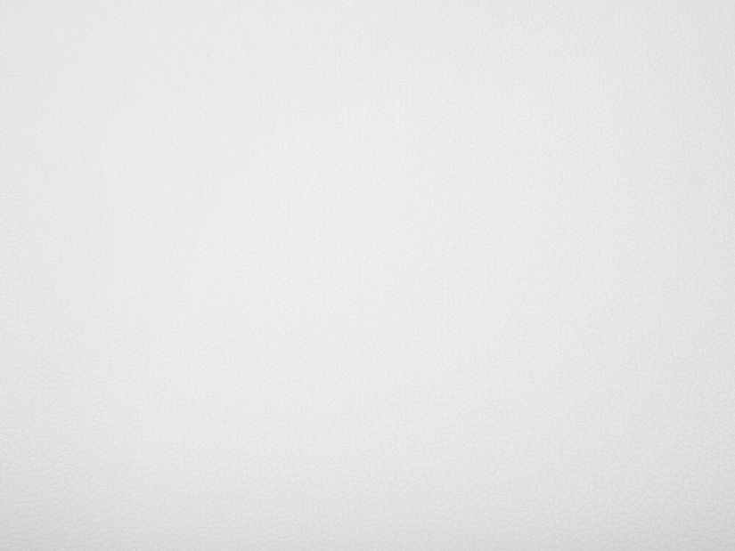 Manželská vodná posteľ 160 cm Anais (biela ekokoža) (s roštom a matracom)