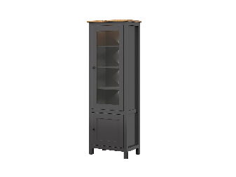 Vitrină Hesen REG1W1D/20/7 (cu iluminat LED) (grafit + Stejar artisan)