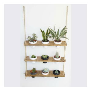 Polica Tulimu 6 (orah)