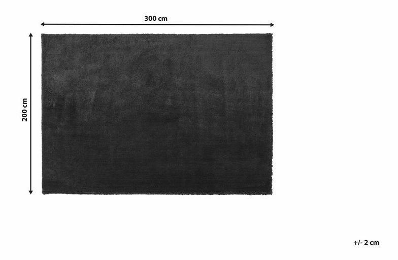 Szőnyeg 300 cm Emeralda (fekete)