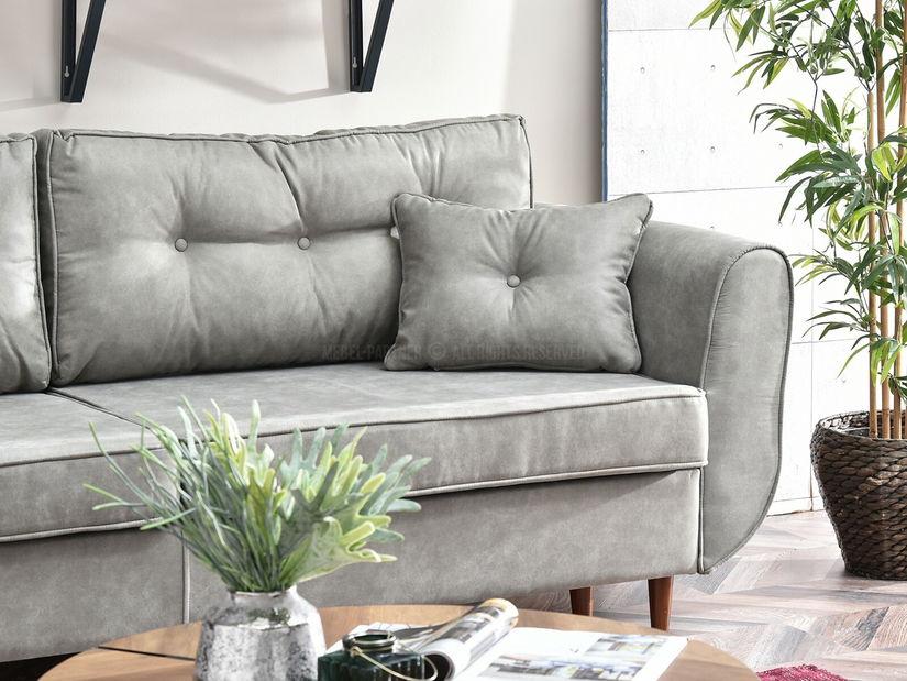 Dvosjed Bacteria (siva + orah)