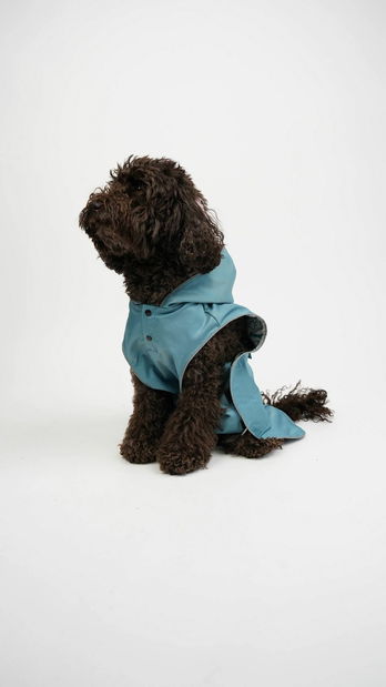 Bunda pre psa Danny (modrá) (XXL)