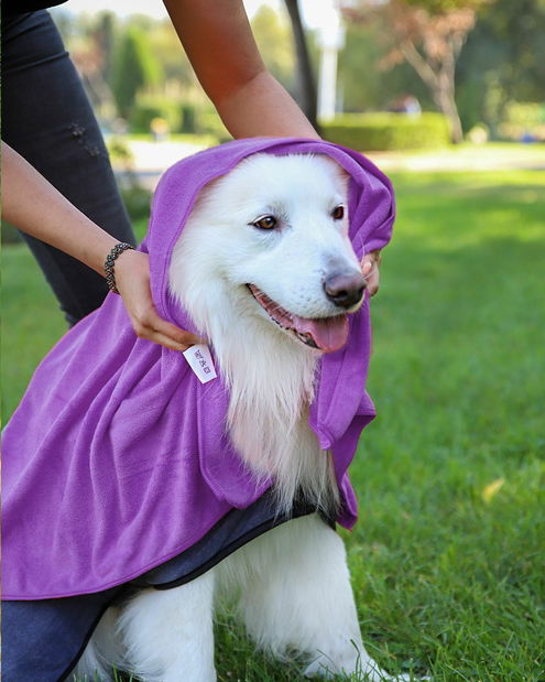 Uterák pre psa Mickoe (fialová)