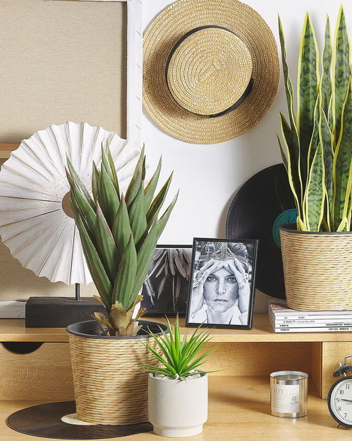 Umelá rastlina 52 cm ALOVA