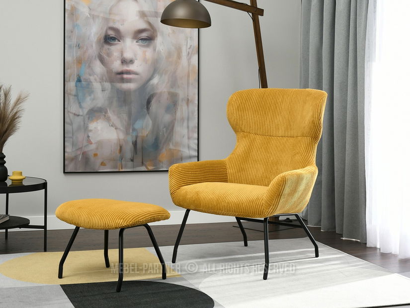 Fotoliu Condor (med + negru)