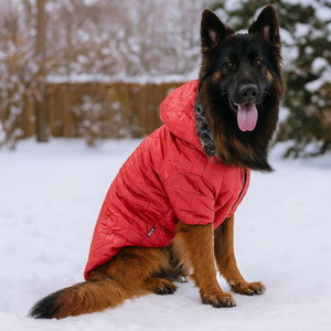 Bunda pre psa Reddie (červená) (4XL)