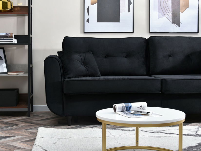 Dvosjed Bacteria (crna)