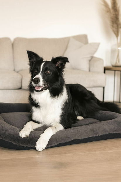 Peliešok pre domáce zviera Sallina (antracit)