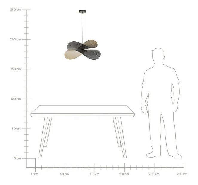 Závesné svietidlo Deonna (čierna / zlatá)