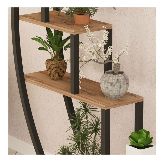 Regál Gardenia (atlanti fenyő + fekete)