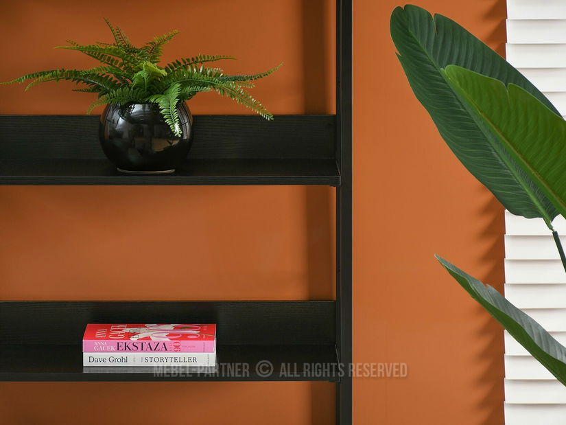 Regál Luca (fekete fa + fekete)