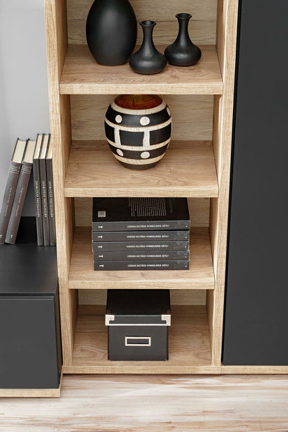 Mobilier living Salk (stejar ribbeck + negru)