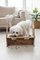 Set boluri pentru animale de companie Apia 9 (natural)