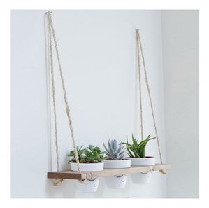 Polica Tulimu 1 (orah)