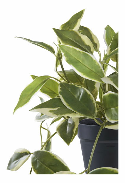 Umelá rastlina Hdoloria (zelená)