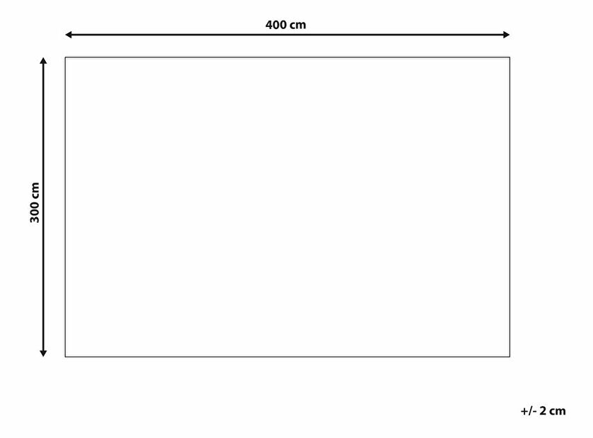 Covor 300 x 400 cm Sid (alb)