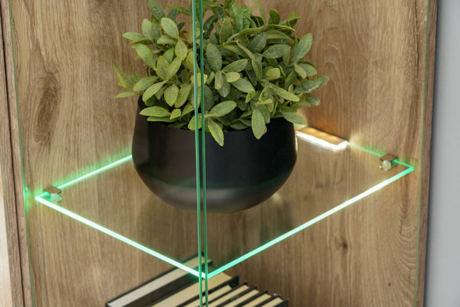 Vitrína Catalis WSW (dub vikingský + kašmír) (s osvetlením)