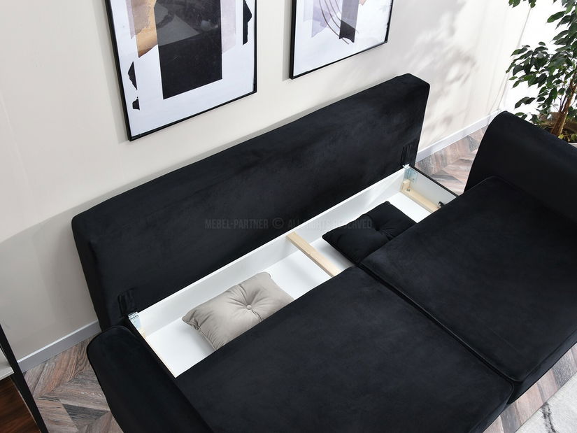 Dvosjed Bacteria (crna)