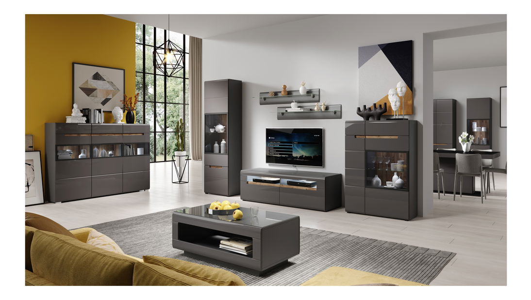 Vitrína Hayle Typ 12 (sivá + sivý vysoký lesk)