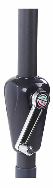 Slnečník Biancia (zelená)