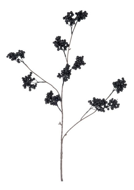 Kvetina Jolipa (Čierna)