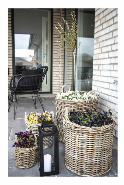 Set 4 ks prútených kvetináčov Craveria (prírodná)