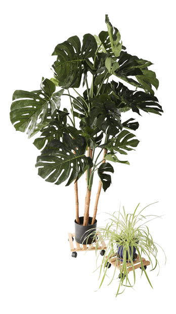 Podstavec pod kvetináč s kolieskami Kola 