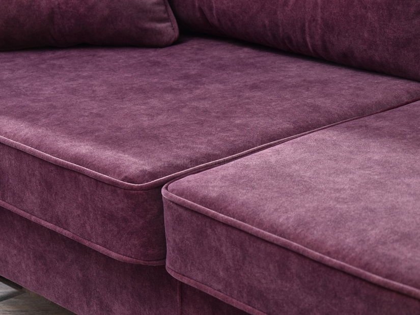 Dvosjed Bacteria (crna)