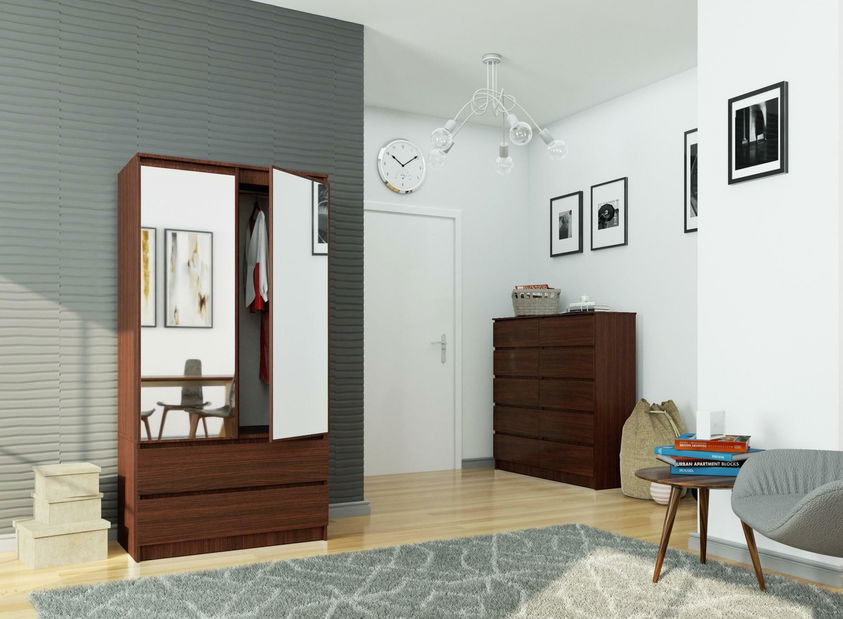 Dulap de haine Safwan II (wenge) (cu oglindă)