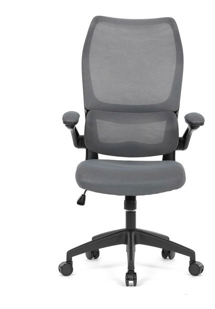 Kancelárske kreslo Clausura (sivá)