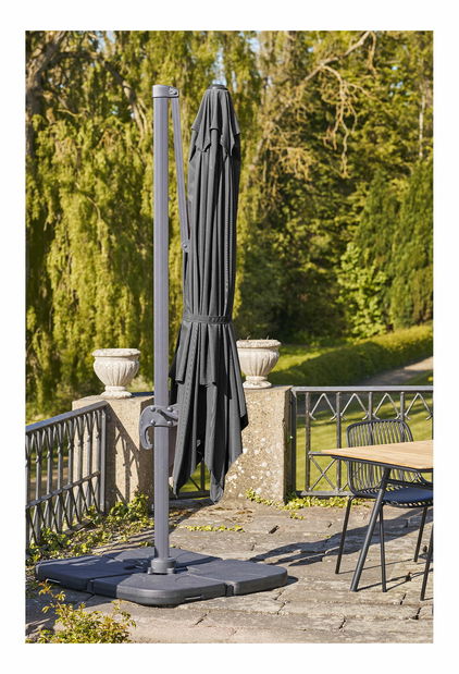 Slnečník Biveria (čierna)