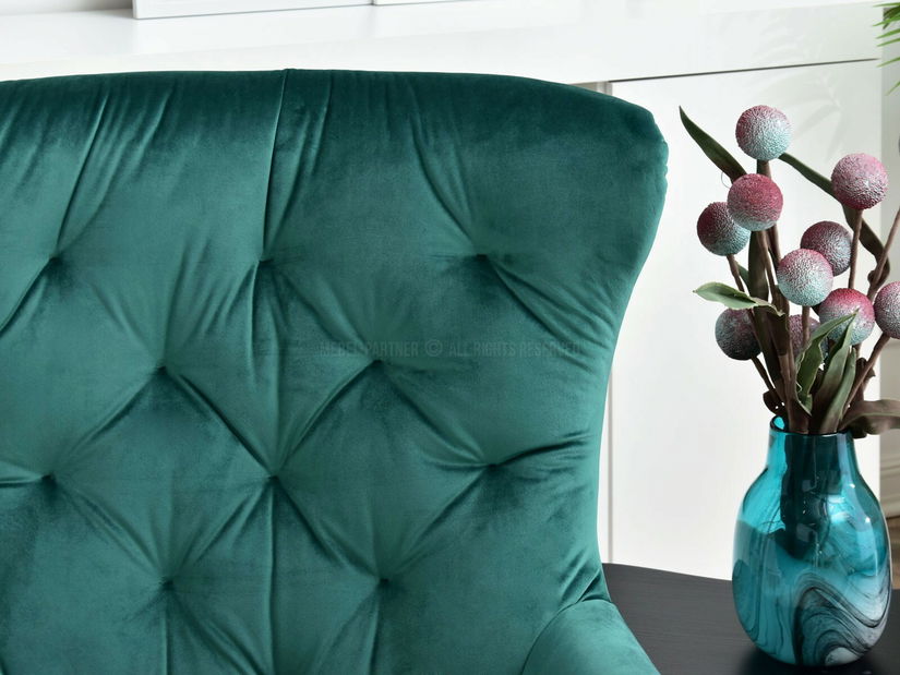 Fotoliu Aaron (verde + negru)