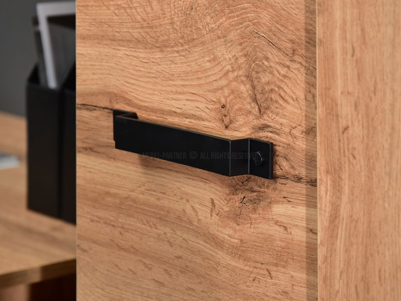 Mobilier living Suspendera SH02 (stejar + negru)