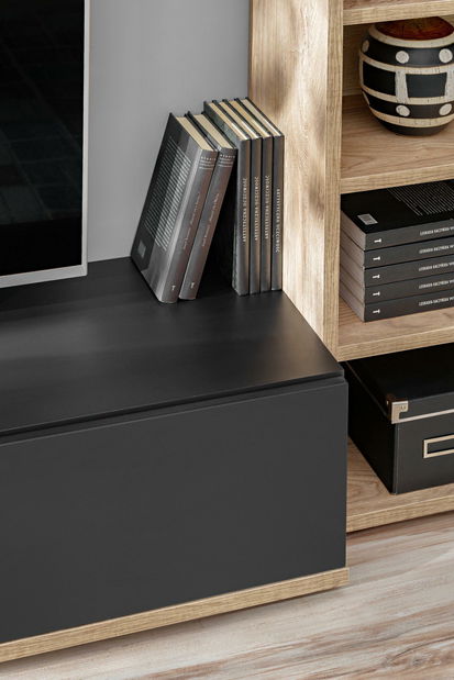 Mobilier living Salk (stejar ribbeck + negru)