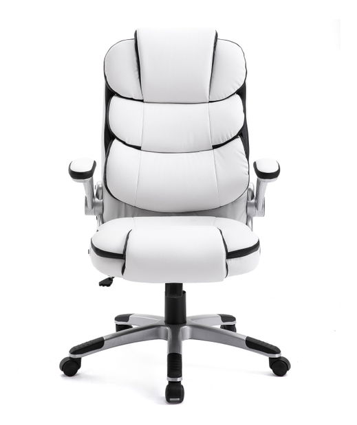 Scaun directorial Sanara 