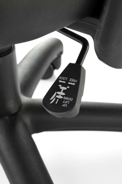 Uredska fotelja Sidbury crna (crna)