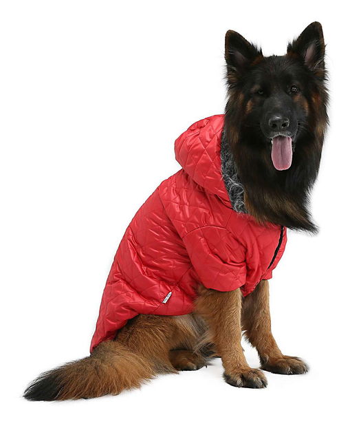 Bunda pre psa Reddie (červená) (3XL)