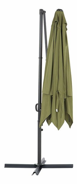 Slnečník Mosa (zelená)