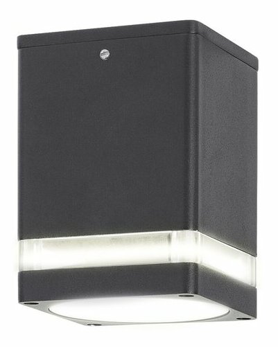 Vanjska stropna svjetiljka Zombor (prozirna + antracit)