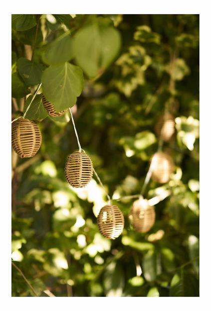 LED reťazové svetlo Canninaina (prírodná + čierna)