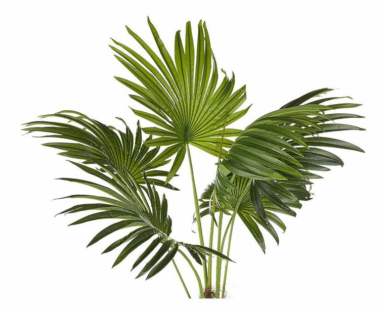 Művirág virágtartóban 100 cm Palma (zöld)