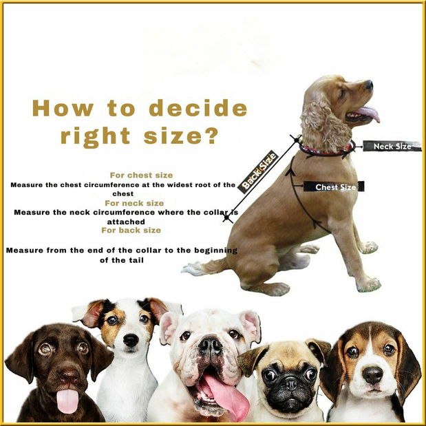 Bunda pre psa Galaxia (viacfarebné) (S)