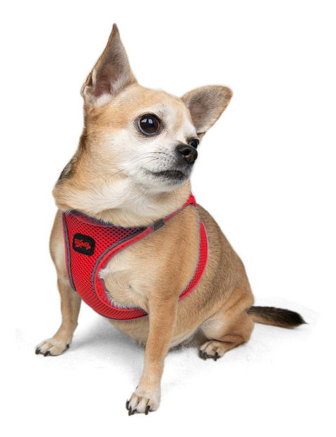 Postroj pre psa Airy (granátová červeň) (2XS)