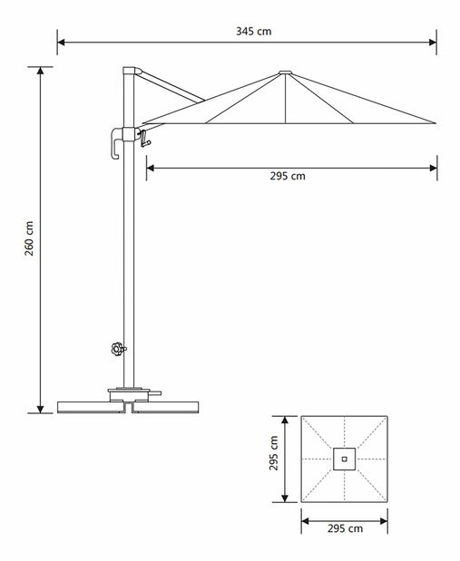 Slnečník Biveria (čierna)