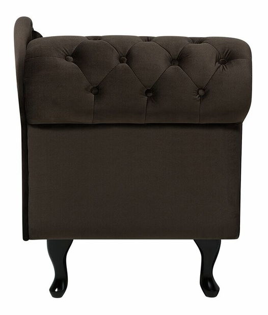 Leňoška Nili (tmavohnedá) (L)